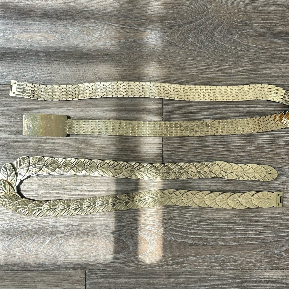 Vintage Gold Metal Scaled Belt Set